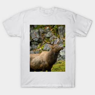 Elk T-Shirt